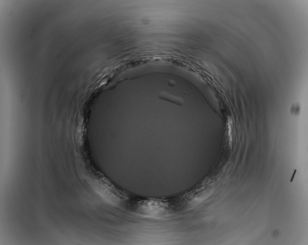 X0000099430223200805301436