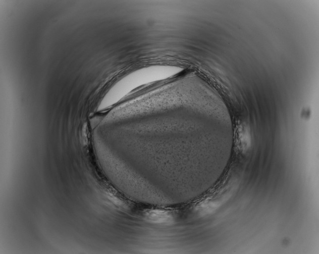 X0000099430224200805301436