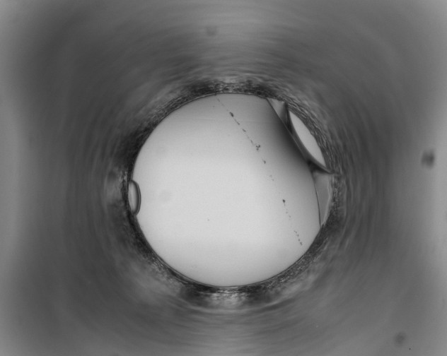 X0000099430225200805301436