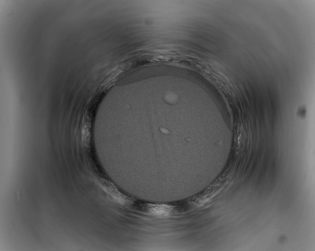 X0000099430226200805301436