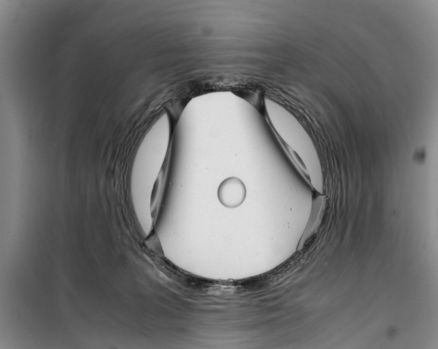 X0000099430227200805301436