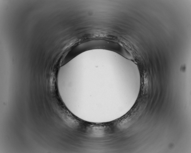 X0000099430228200805301436