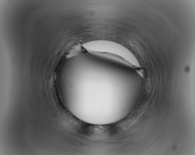 X0000099430229200805301436