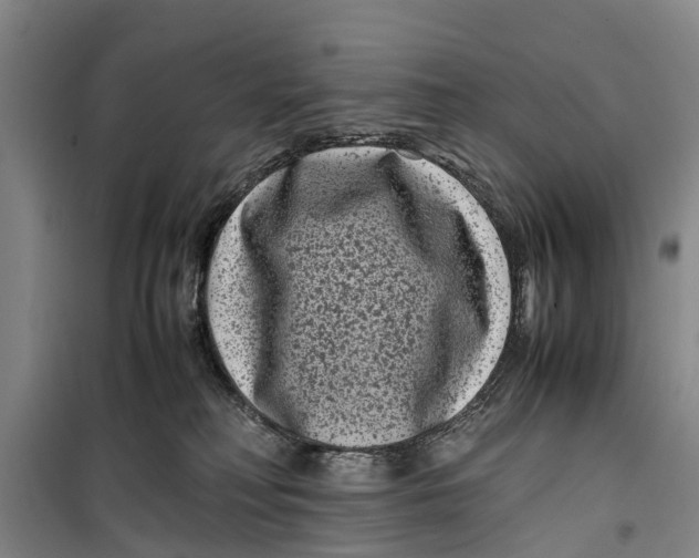 X0000099430230200805301436