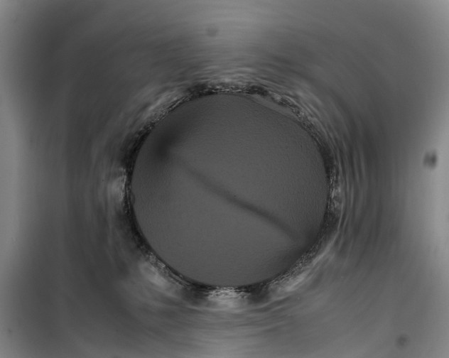 X0000099430231200805301436