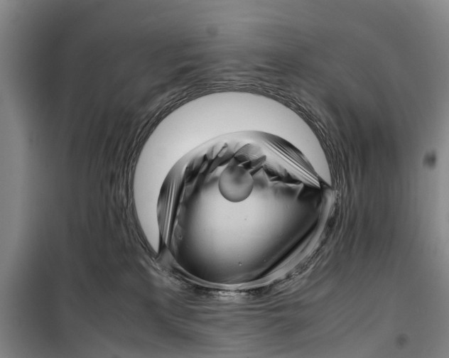 X0000099430233200805301436