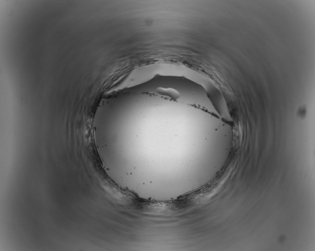 X0000099430237200805301436