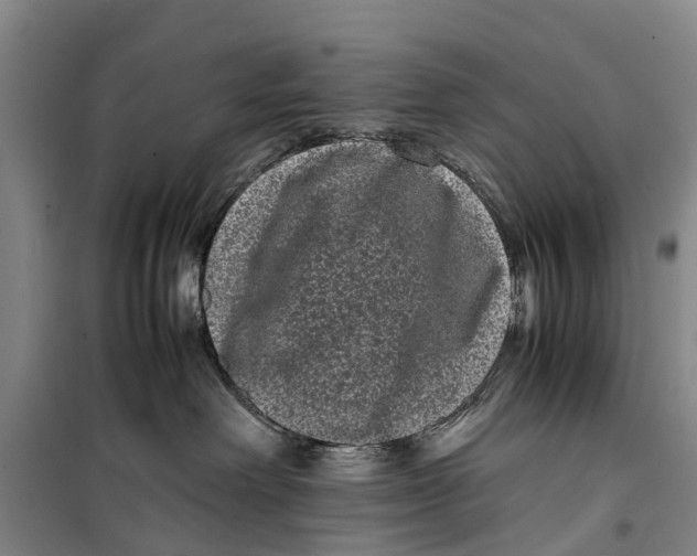 X0000099430238200805301436