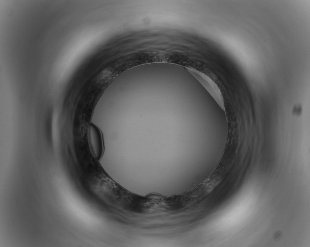 X0000099430239200805301436