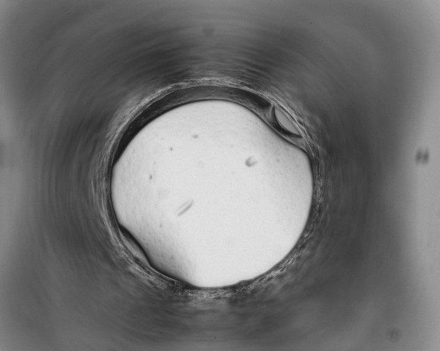 X0000099430241200805301435