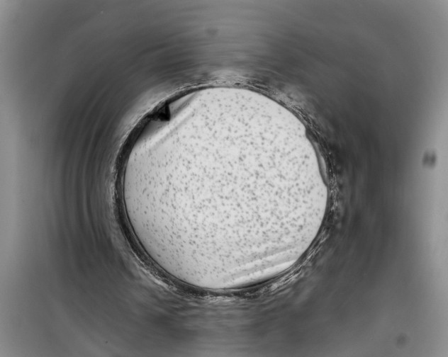 X0000099430242200805301435