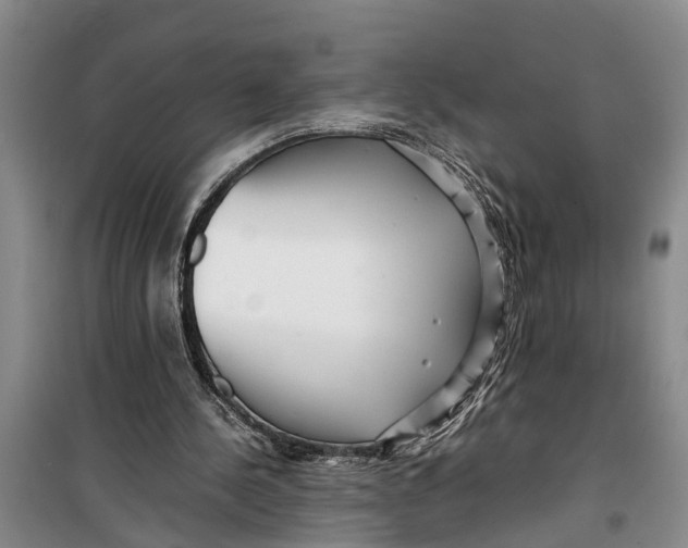 X0000099430244200805301435