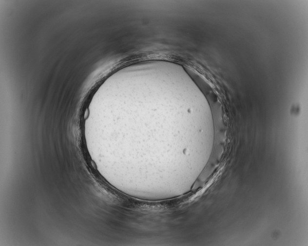 X0000099430245200805301435