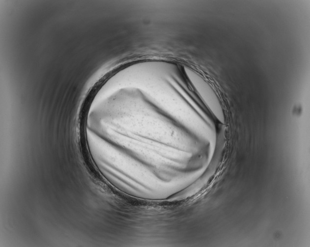 X0000099430246200805301435