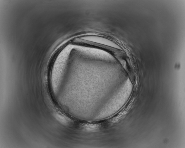 X0000099430247200805301435