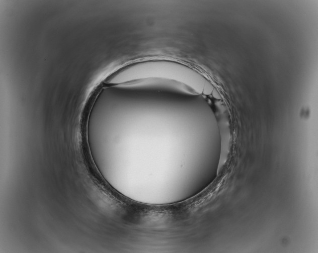 X0000099430248200805301435