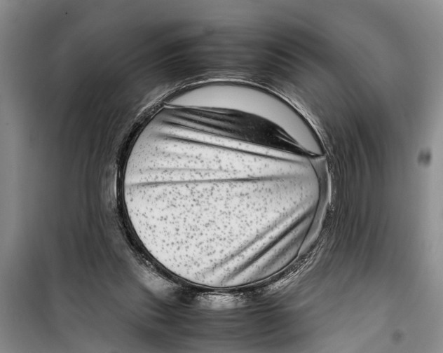 X0000099430253200805301435