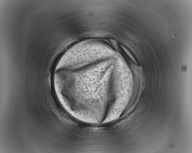 X0000099430254200805301435