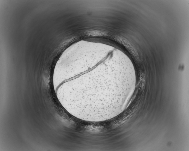 X0000099430255200805301435