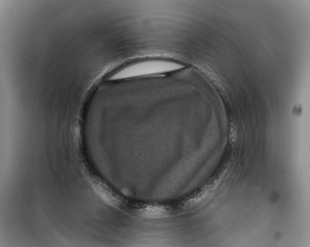 X0000099430256200805301435