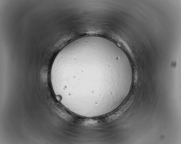 X0000099430257200805301435