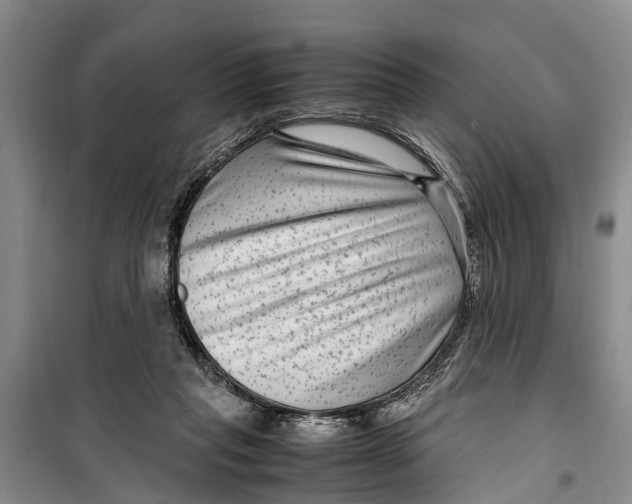 X0000099430261200805301435