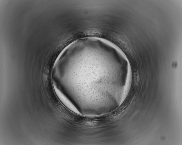 X0000099430263200805301435