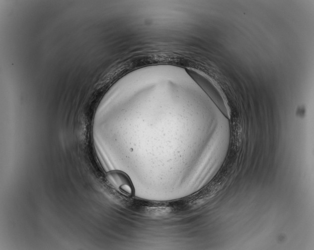 X0000099430266200805301435