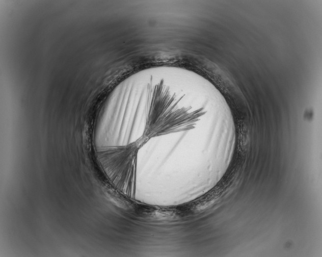 X0000099430270200805301435