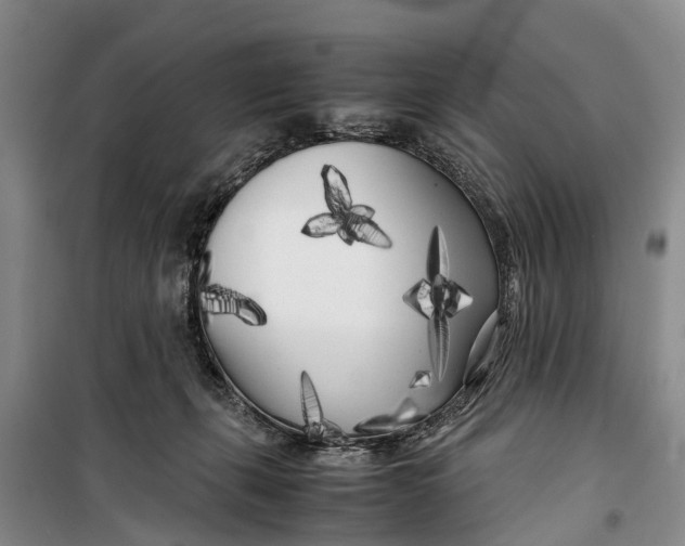 X0000099430271200805301435