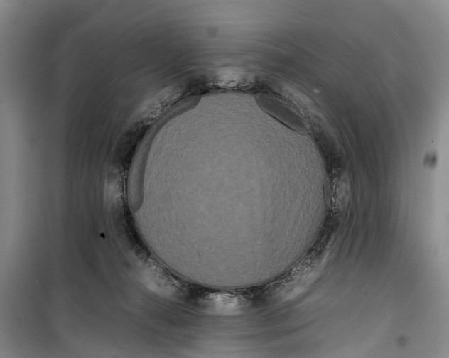 X0000099430272200805301435