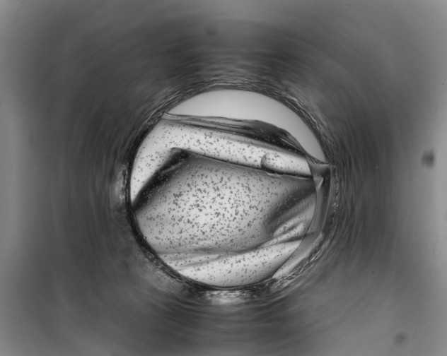 X0000099430273200805301435