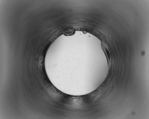 X0000099430275200805301435