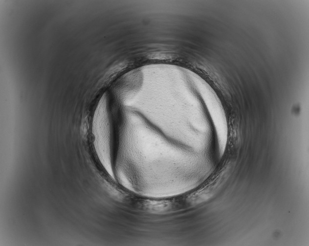 X0000099430277200805301435