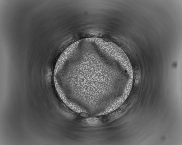 X0000099430279200805301435