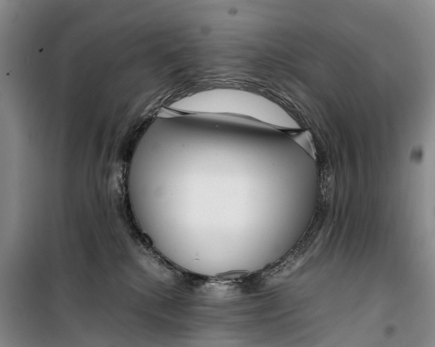 X0000099430280200805301435