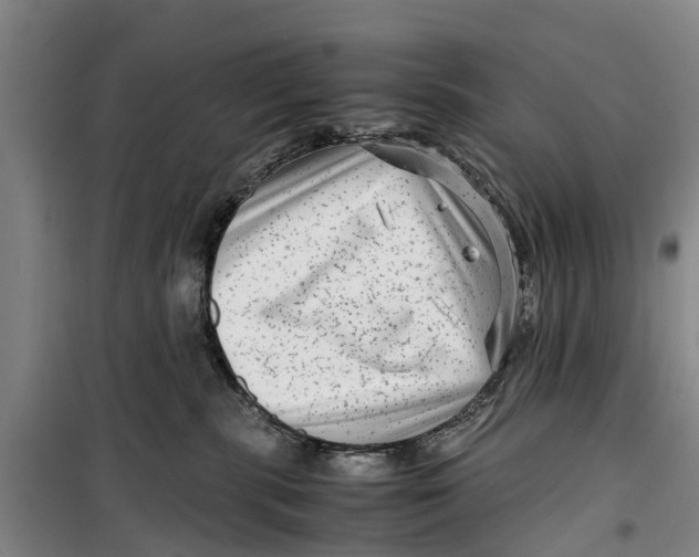 X0000099430283200805301435