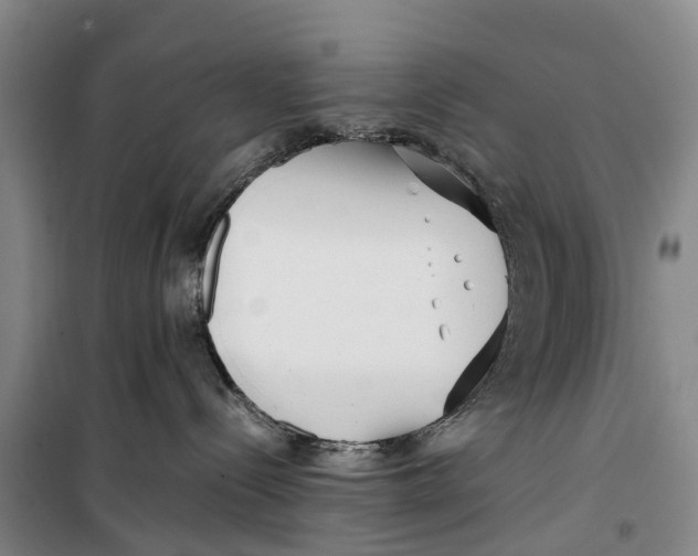 X0000099430288200805301436