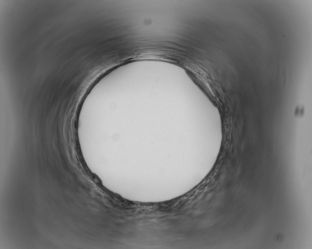 X0000099430289200805301435