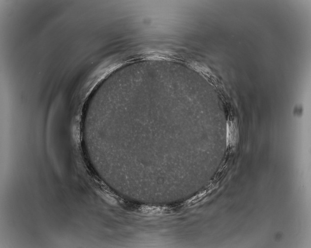 X0000099430291200805301435