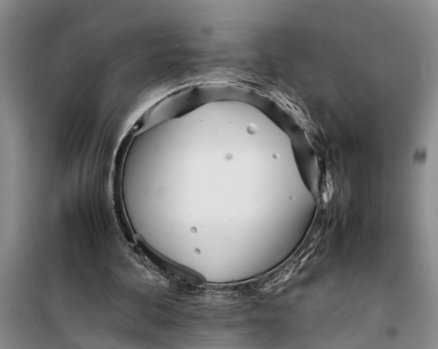 X0000099430292200805301435