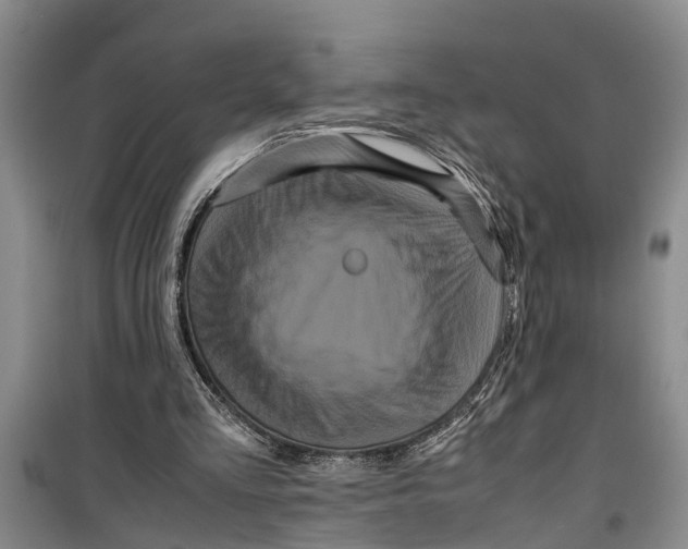 X0000099430293200805301435