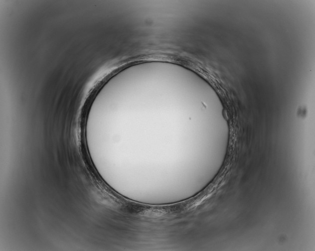 X0000099430294200805301435