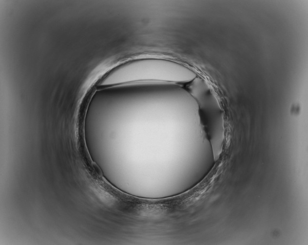 X0000099430296200805301435