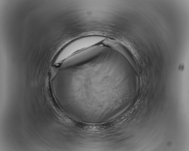 X0000099430297200805301435