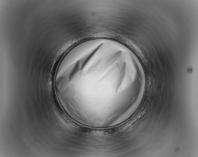 X0000099430298200805301435