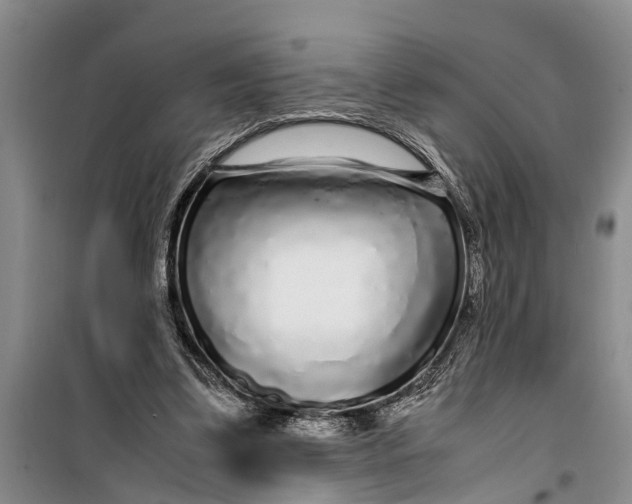 X0000099430299200805301435