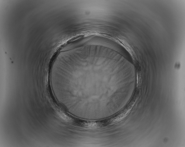 X0000099430301200805301435