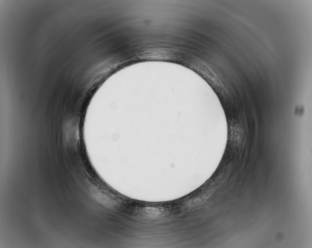 X0000099430302200805301435