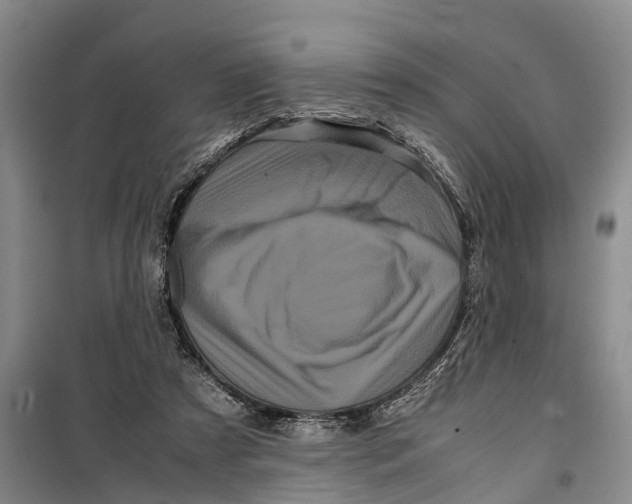 X0000099430305200805301435